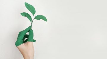 La responsabilité sociétale des entreprises ou RSE